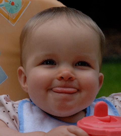 The tongue again