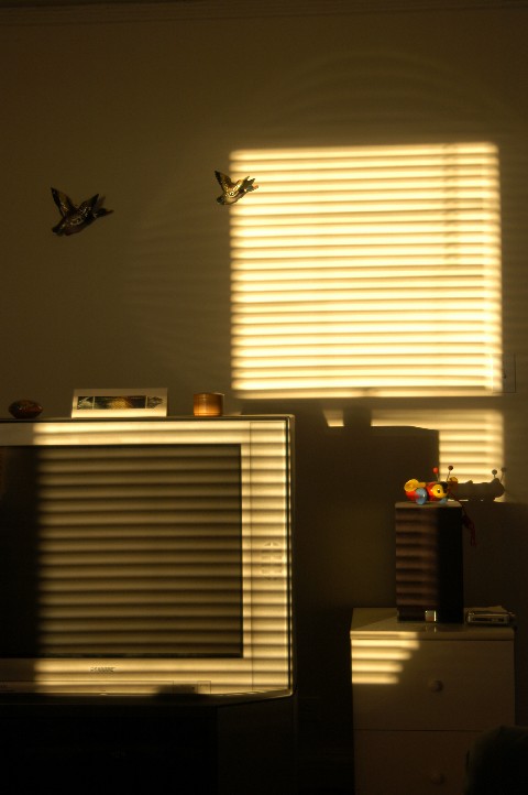 Winter sunlight