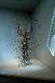 Quantum Cloud XXXIII, Antony Gormley