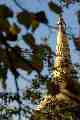 Buddhist temple through the trees