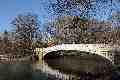 One of the many bridges of Central Park