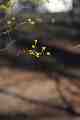 ...and more sparse
