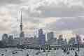 Auckland skyline