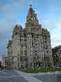 The Liver Building