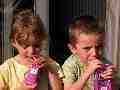 Fruit drinks