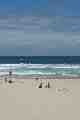 Bondi Beach